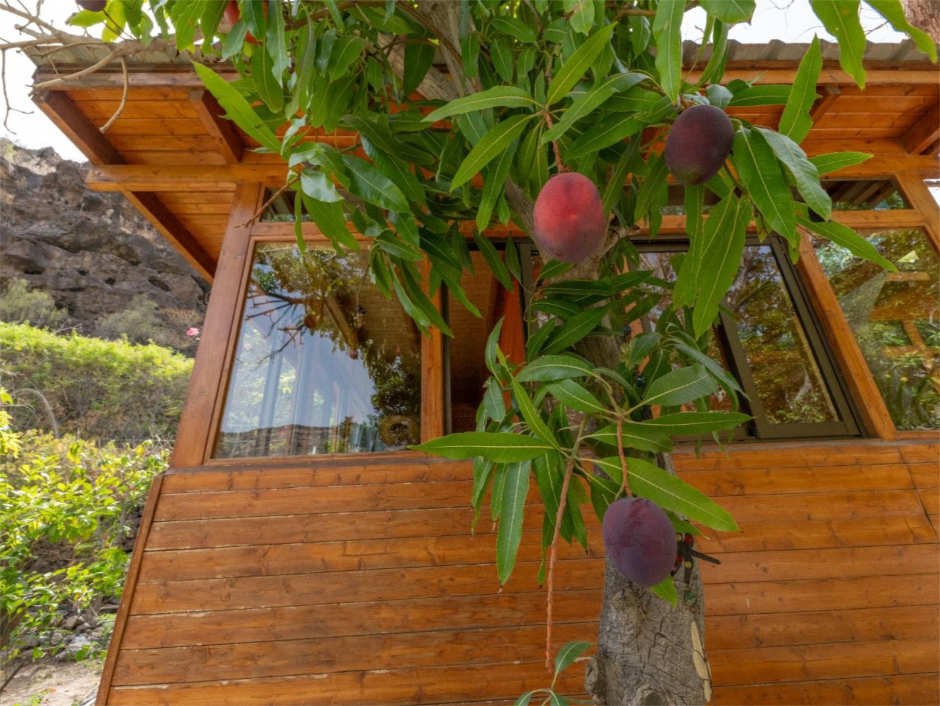 Garden of Land for sale in Mogán