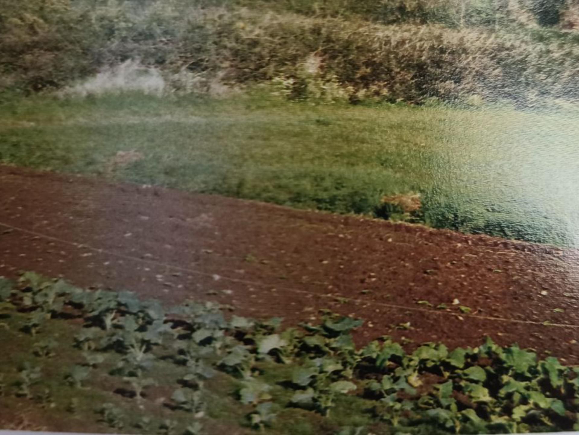 Non-constructible Land for sale in Carral