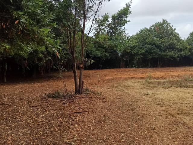 Terreno no urbanizable en Venta en Gosende, 8 en Carral