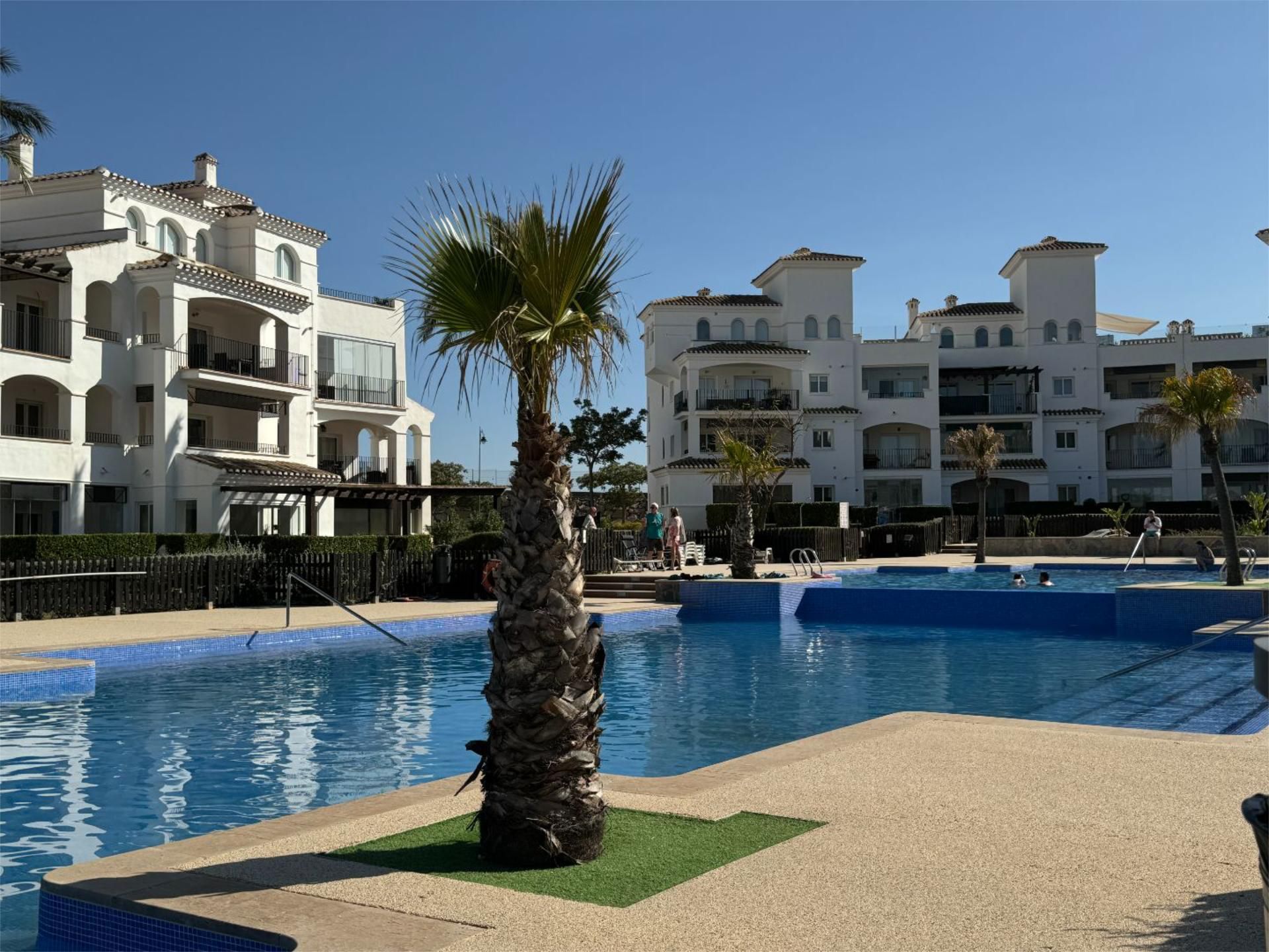 Piscina de Pis en venda en  Murcia Capital amb Aire condicionat, Terrassa i Piscina