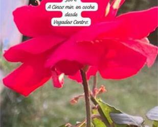 Apartament de lloguer a Sagrado Corazón - As Gándaras