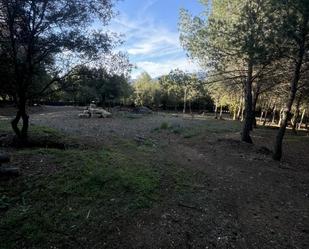 Finca rústica en venda en Santa Eulàlia de Ronçana