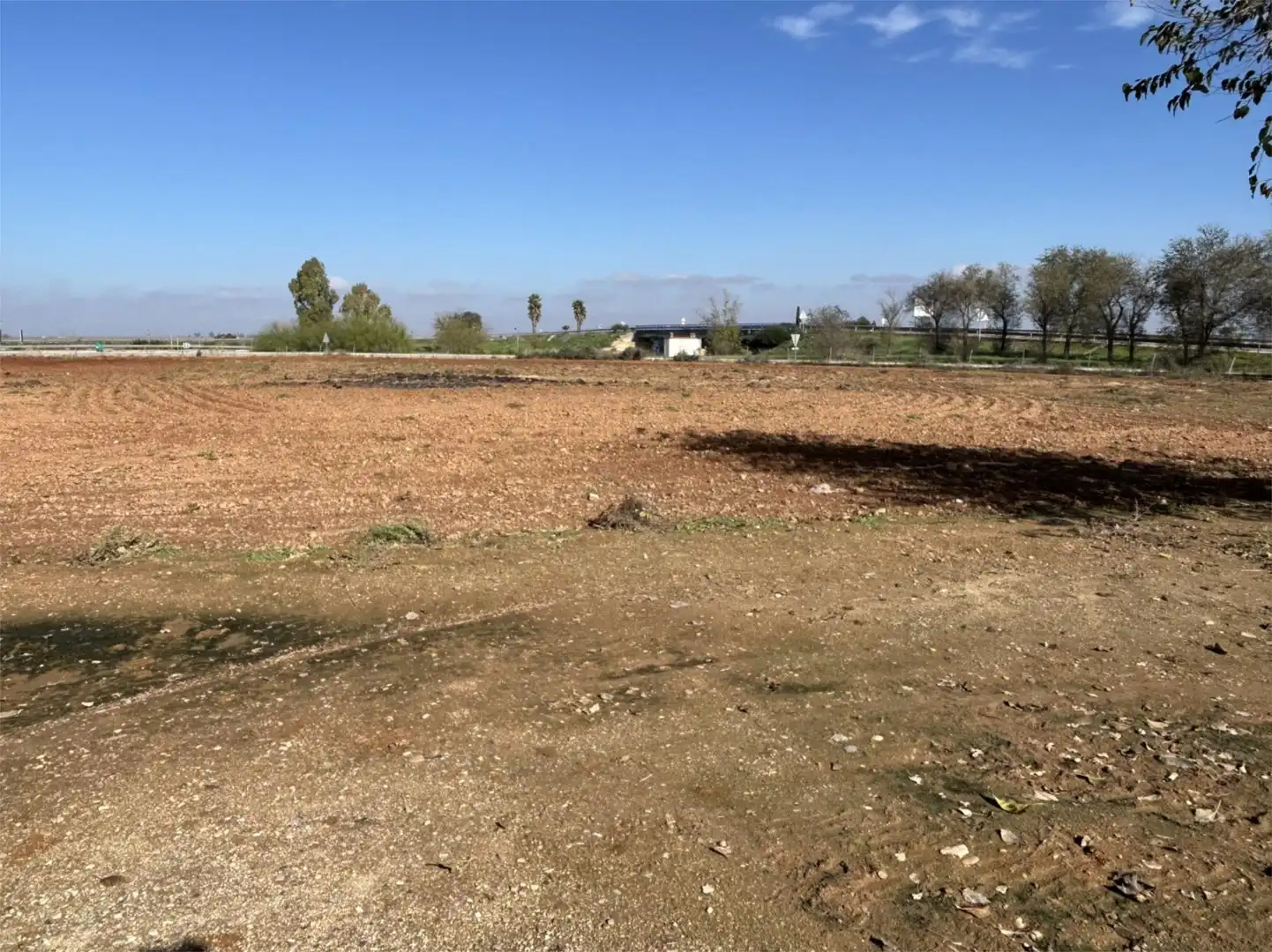 Finca rústica de alquiler en Écija