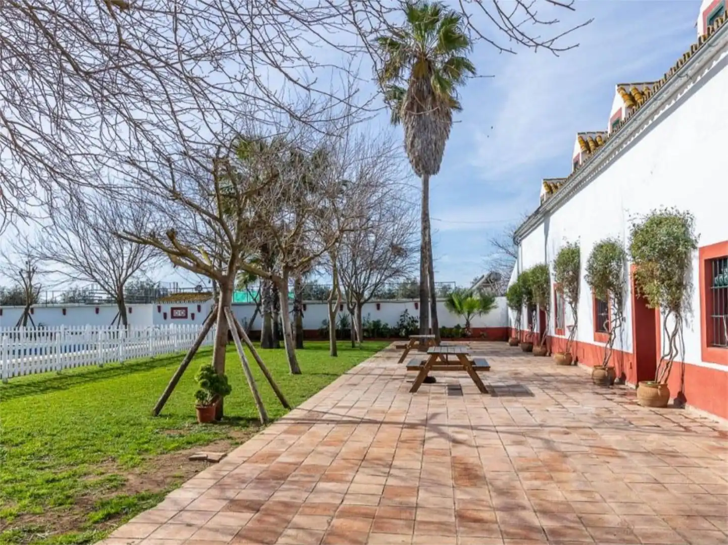Jardín de Casa o chalet en venta en Carmona con Jardín privado, Terraza y Trastero