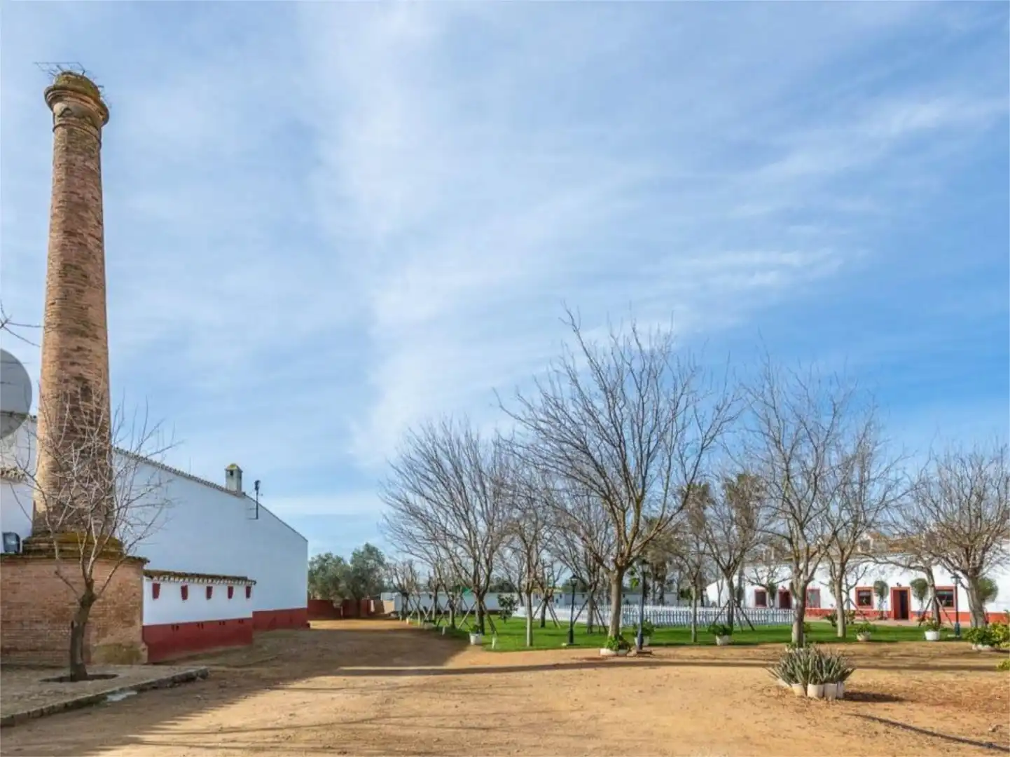 Vista exterior de Casa o chalet en venta en Carmona con Jardín privado, Terraza y Trastero
