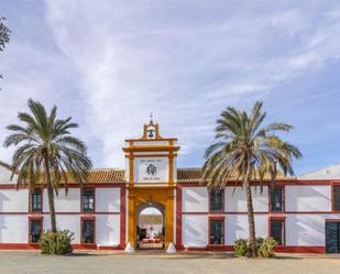 Vista exterior de Finca rústica en venda en  Sevilla Capital amb Jardí privat, Terrassa i Piscina