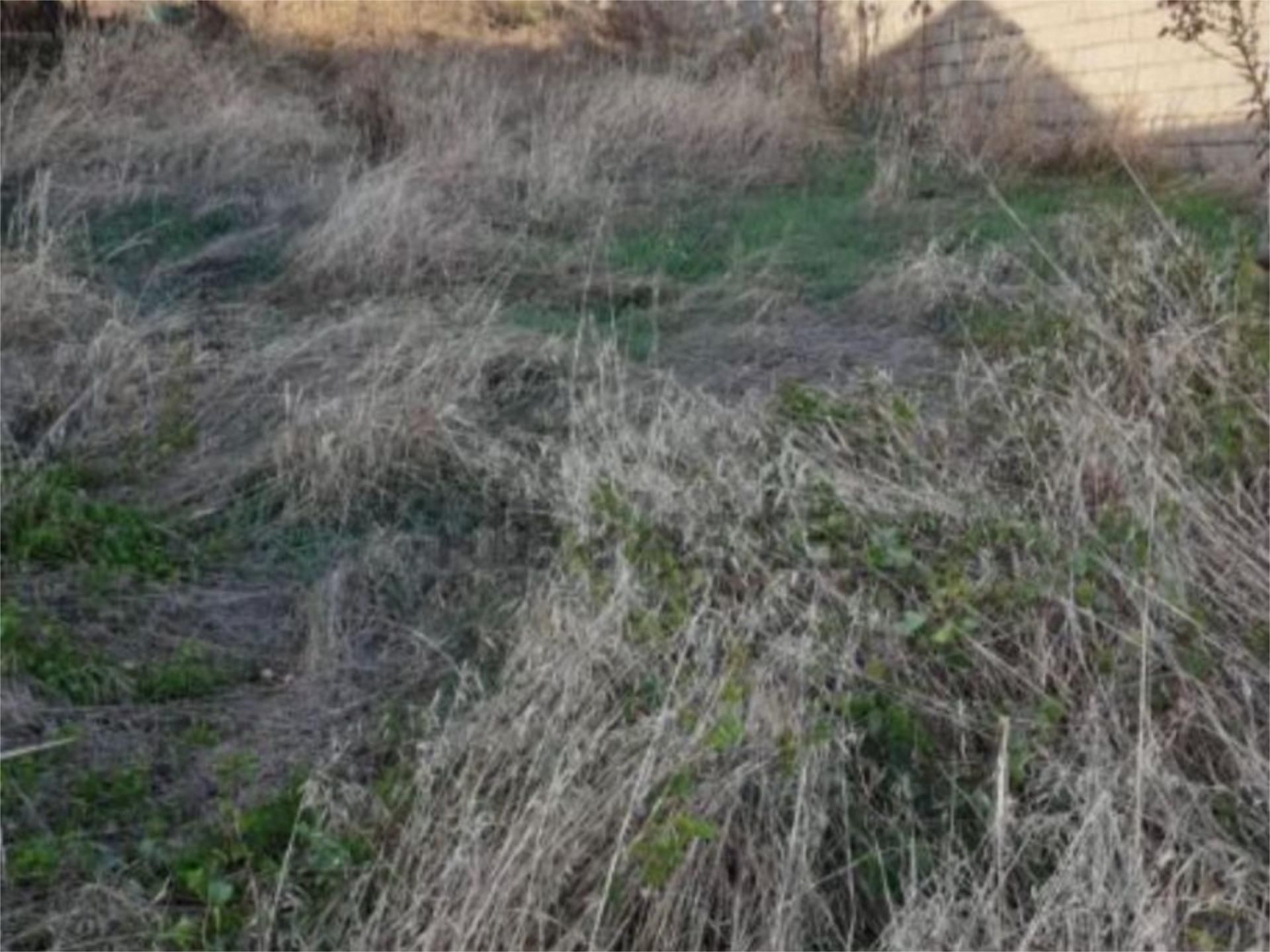 Urbanitzable en venda en Villaviciosa de Córdoba