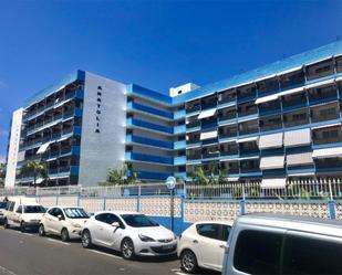 Exterior view of Study for sale in Puerto de la Cruz  with Terrace, Community parking and Community pool