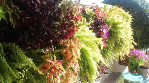 Pis en venda a Via Brijan, 5, Montemayor - Marbella Club, Málaga - imatge 3 Foto 3 de Pis en venda a Via Brijan, 5, Montemayor - Marbella Club, Málaga