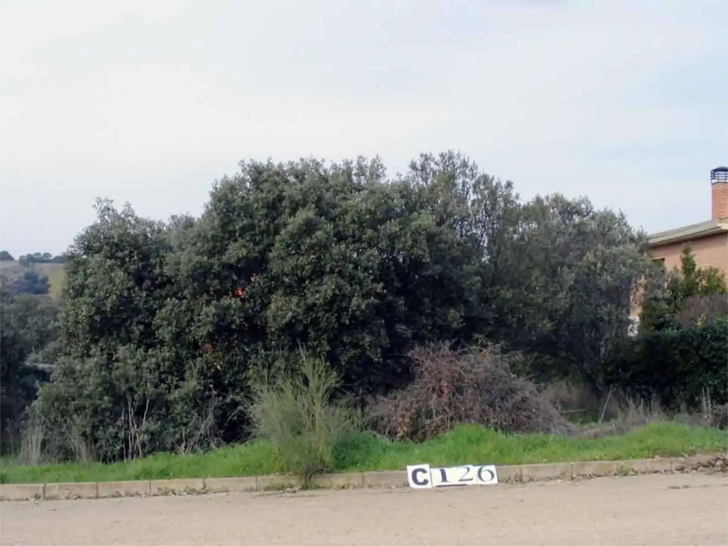 Constructible Land for sale in Calle las Encinas, Valdeaveruelo Constructible Land for sale in Valdeaveruelo