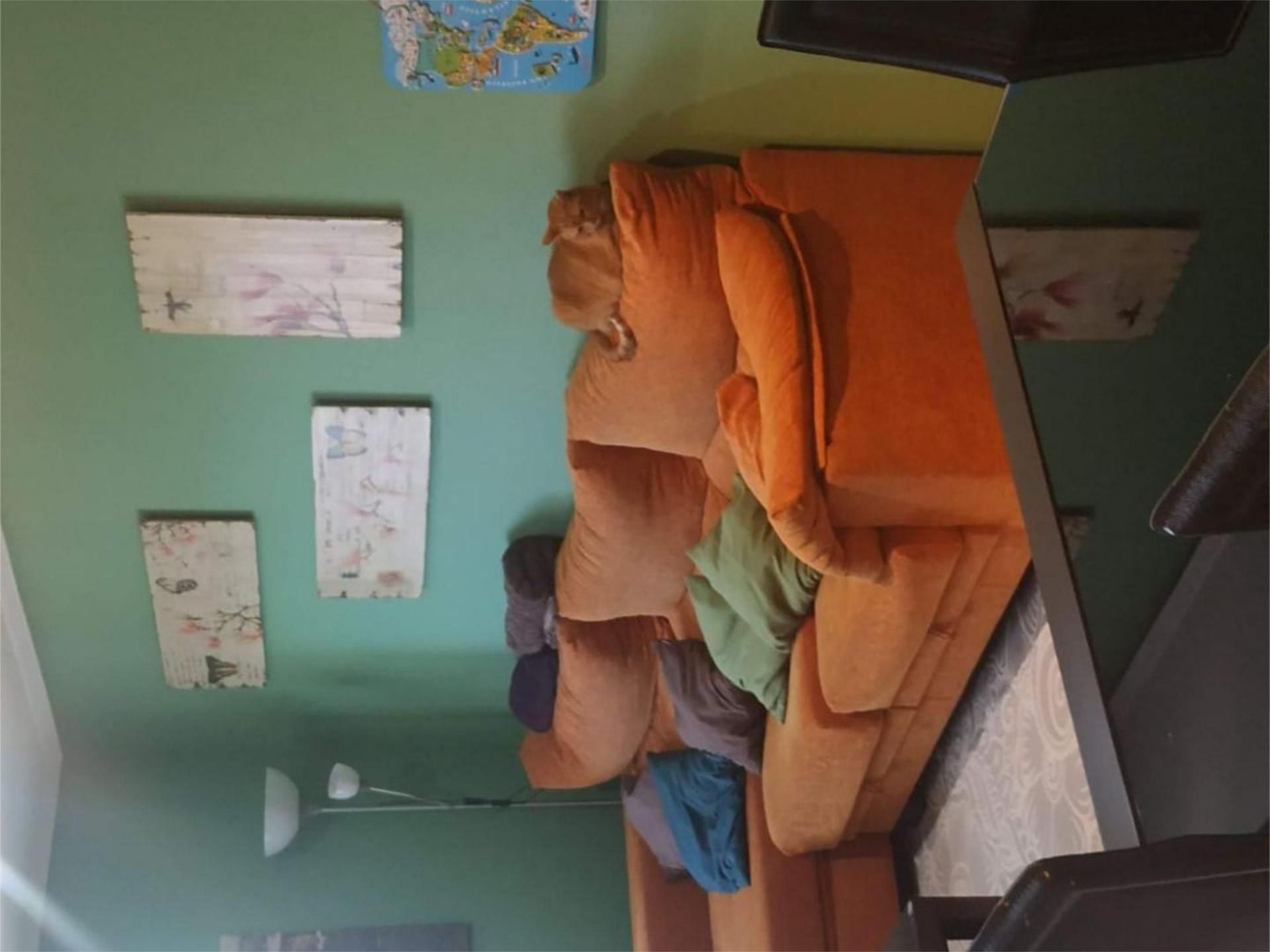 Living room of Flat to rent in Vigo 