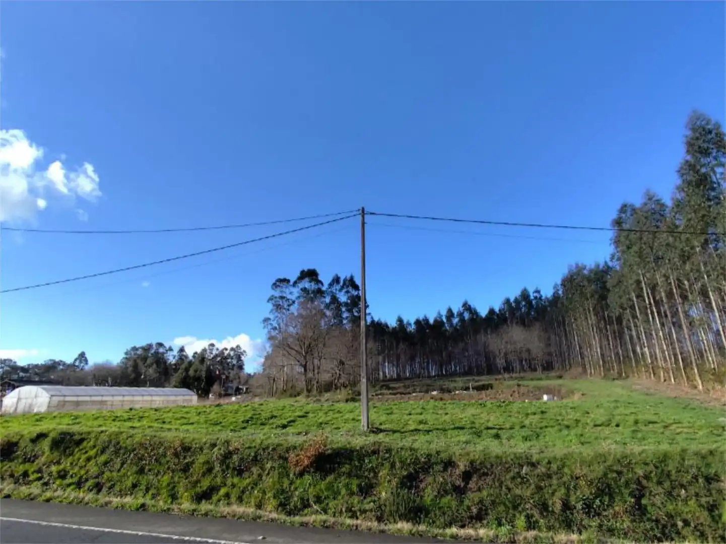 Constructible Land for sale in O Pino 
