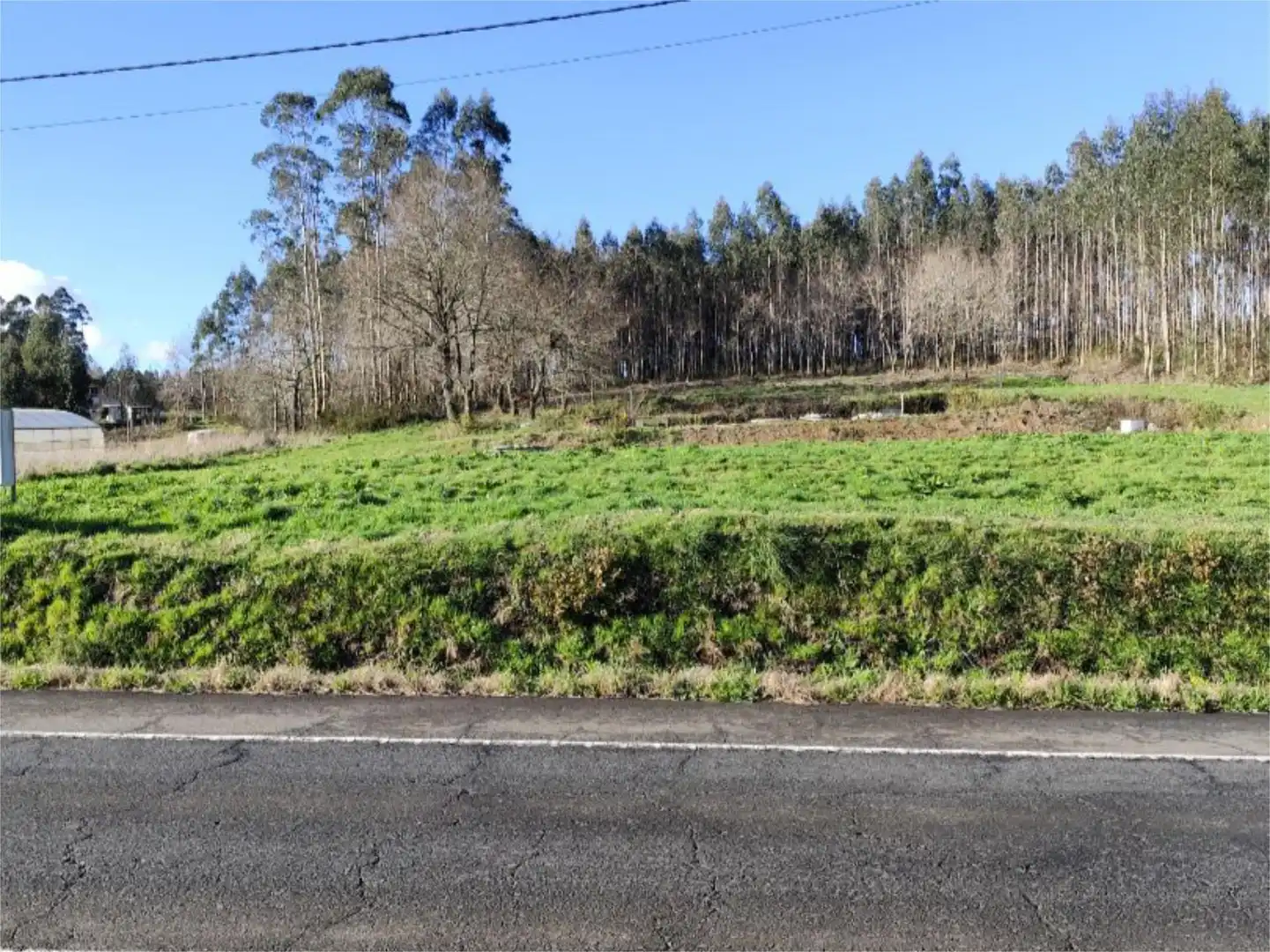 Constructible Land for sale in O Pino 