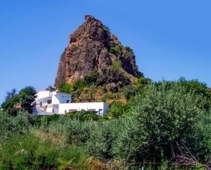 Vista exterior de Finca rústica en venda en Macael amb Aire condicionat, Calefacció i Jardí privat