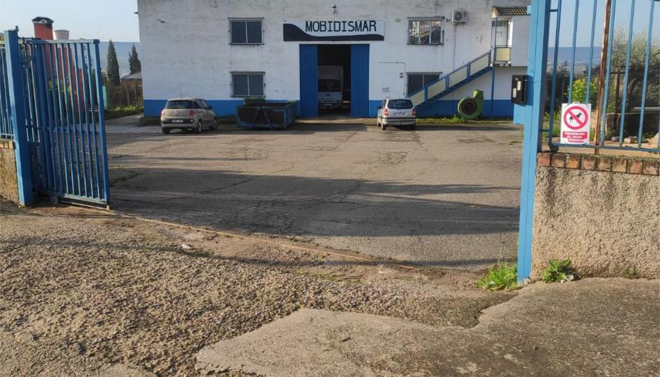 Industrial buildings for sale in Carretera de la Estación, 1, Marmolejo, Jaén - image 1 Photo 1 of Industrial buildings for sale in Carretera de la Estación, 1, Marmolejo, Jaén