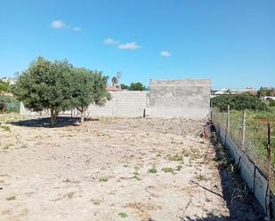 Non-constructible Land for sale in Sanlúcar de Barrameda