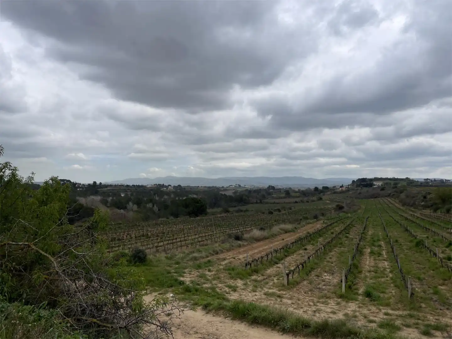Non-constructible Land for sale in Vial Camino, 9, Font-rubí Non-constructible Land for sale in Font-rubí