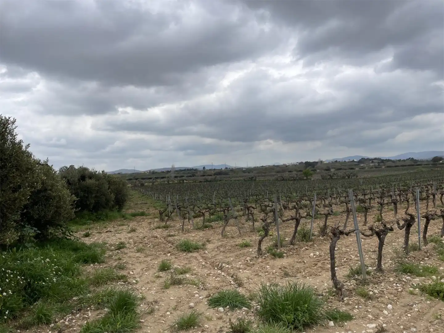 Non-constructible Land for sale in Vial Camino, 9, Font-rubí Non-constructible Land for sale in Font-rubí