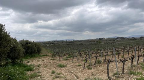 Foto 3 de No Urbanizable en venta en Vial Camino, 9, Font-rubí, Barcelona