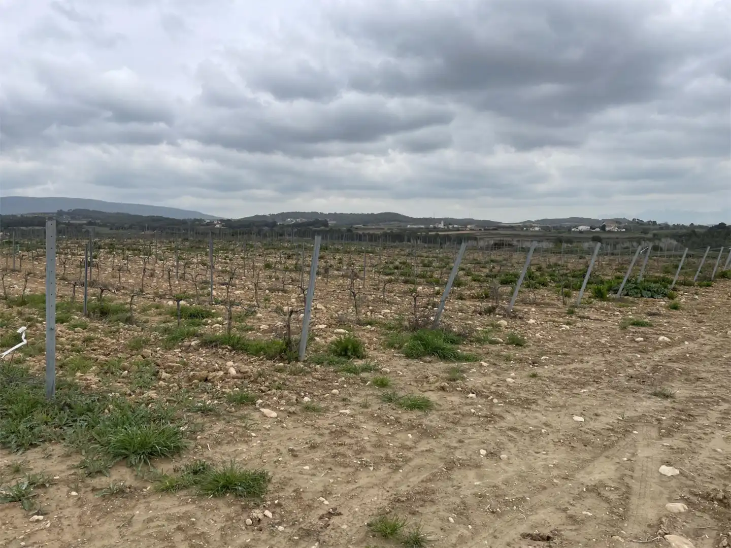 Non-constructible Land for sale in Vial Camino, 9, Font-rubí Non-constructible Land for sale in Font-rubí