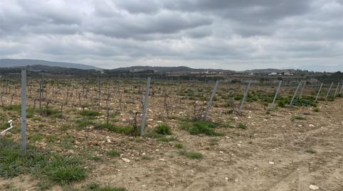 Foto 5 de No Urbanizable en venta en Vial Camino, 9, Font-rubí, Barcelona