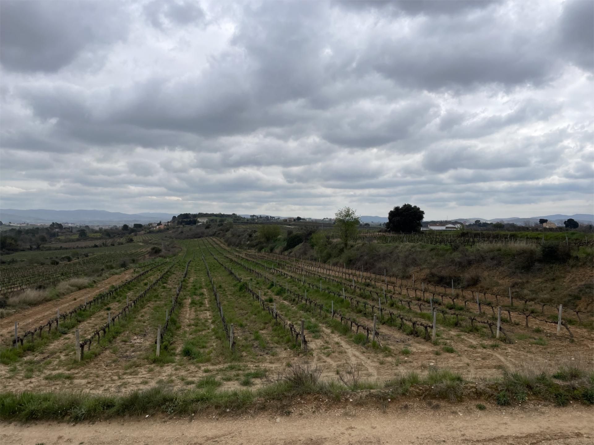 No Urbanitzable en venda en Font-rubí