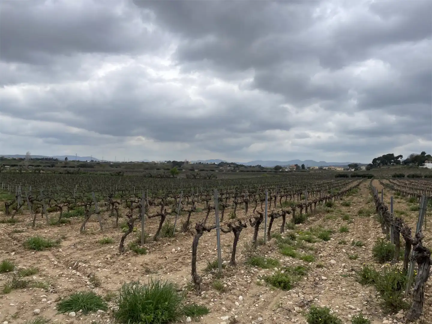 Non-constructible Land for sale in Vial Camino, 9, Font-rubí Non-constructible Land for sale in Font-rubí