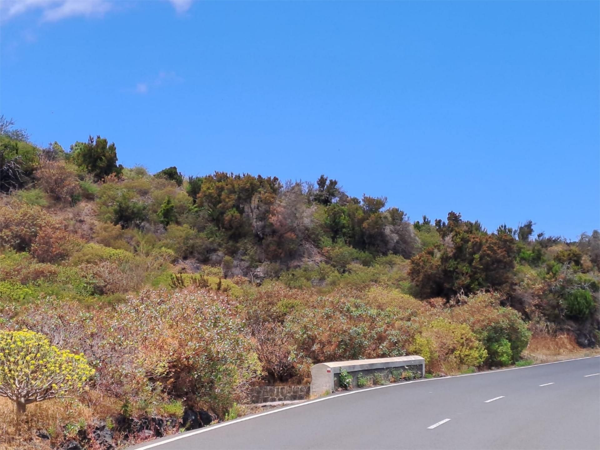 Exterior view of Land for sale in Villa de Mazo