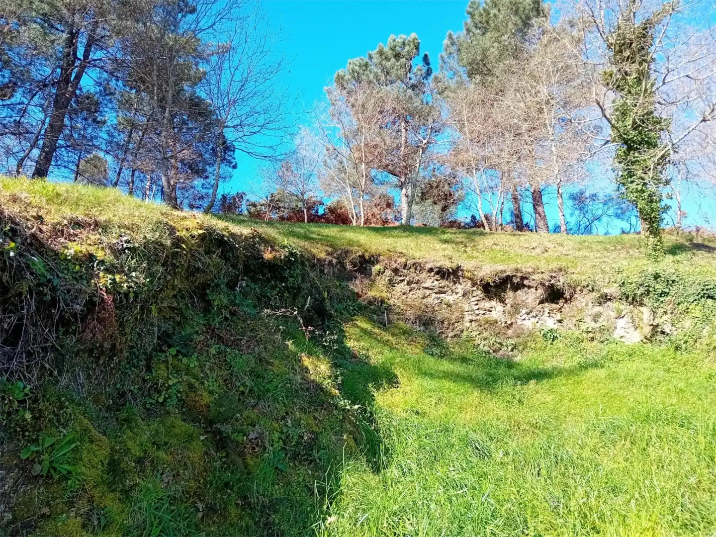 Urbanizable en venta en A Cañiza  