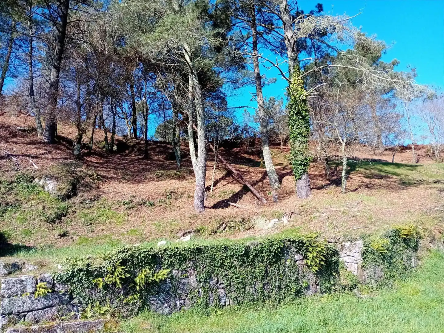 Urbanizable en venta en A Cañiza  