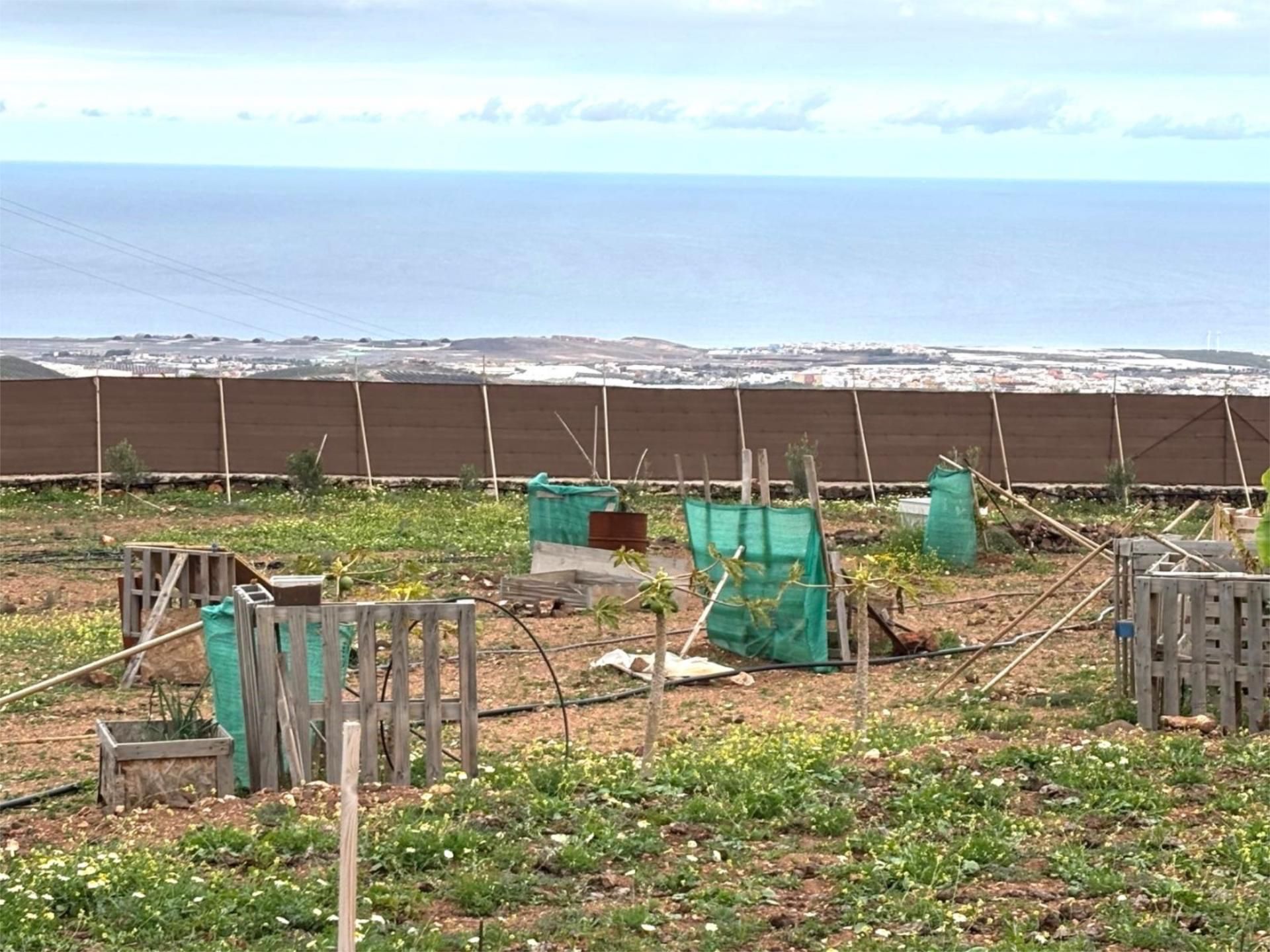 Jardí de Finca rústica en venda en Ingenio