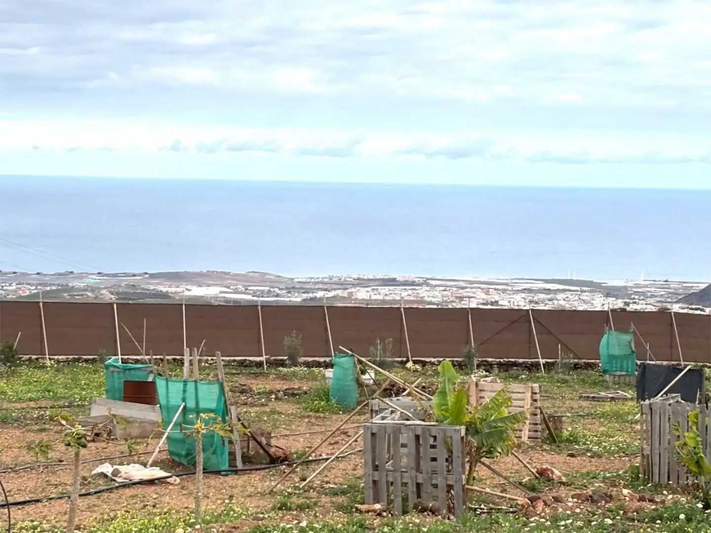 Finca rústica en venda a Calle Tibicena, 30, Sequero Finca rústica en venda en Ingenio
