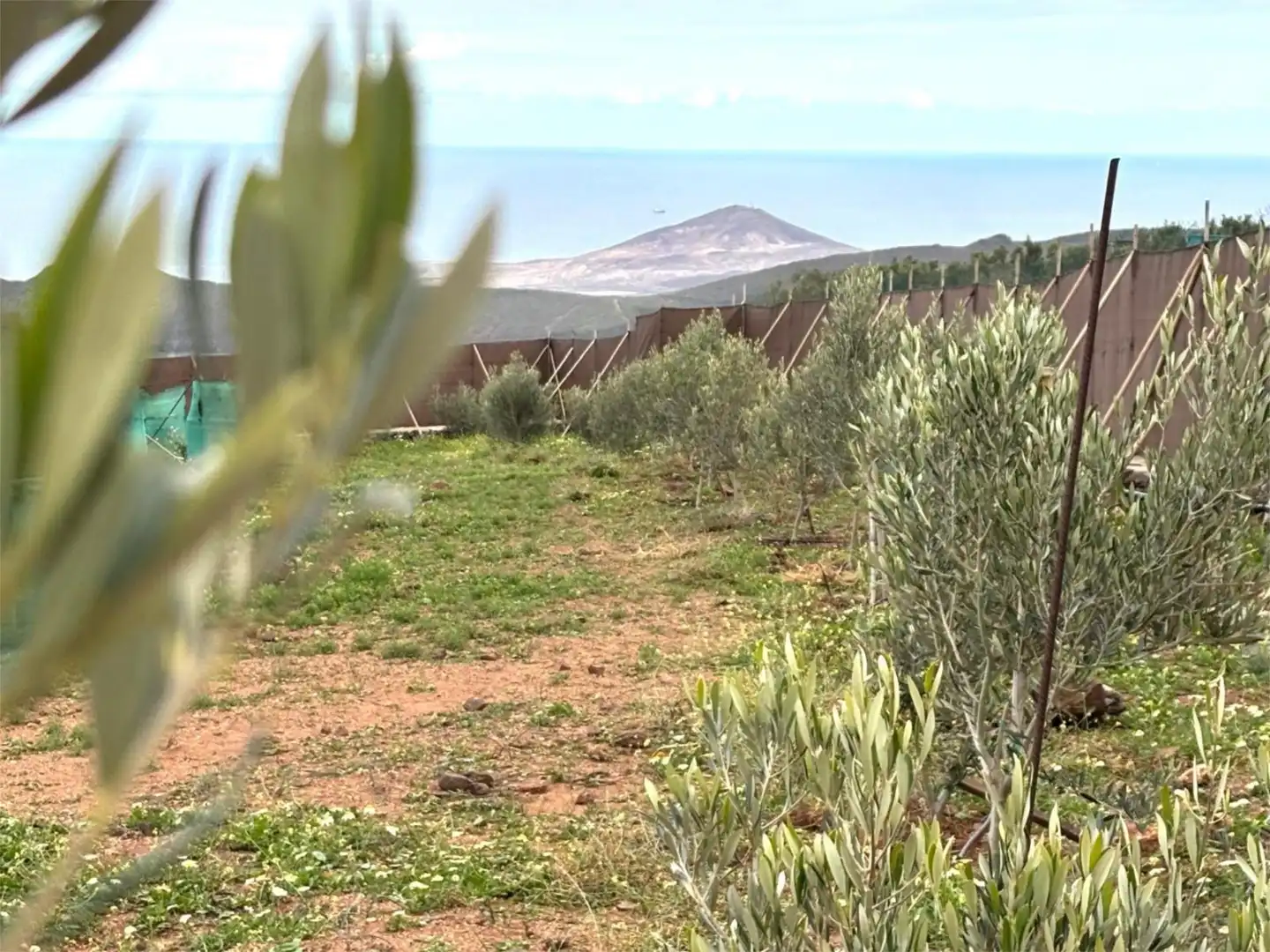 Finca rústica en venda a Calle Tibicena, 30, Sequero Finca rústica en venda en Ingenio