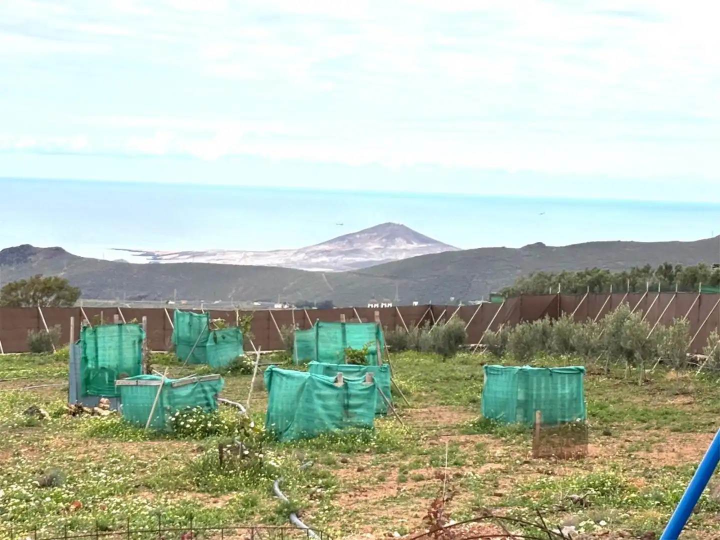 Finca rústica en venda a Calle Tibicena, 30, Sequero Jardí de Finca rústica en venda en Ingenio