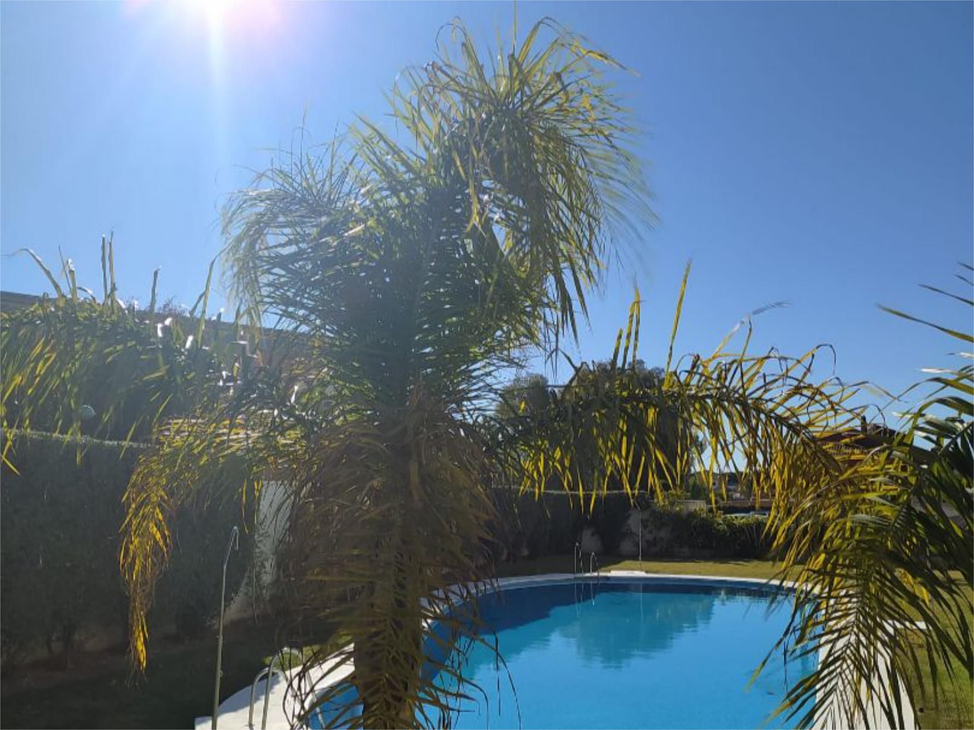Flat to rent in Calle Lavanda, 24, Soto de Vistahermosa