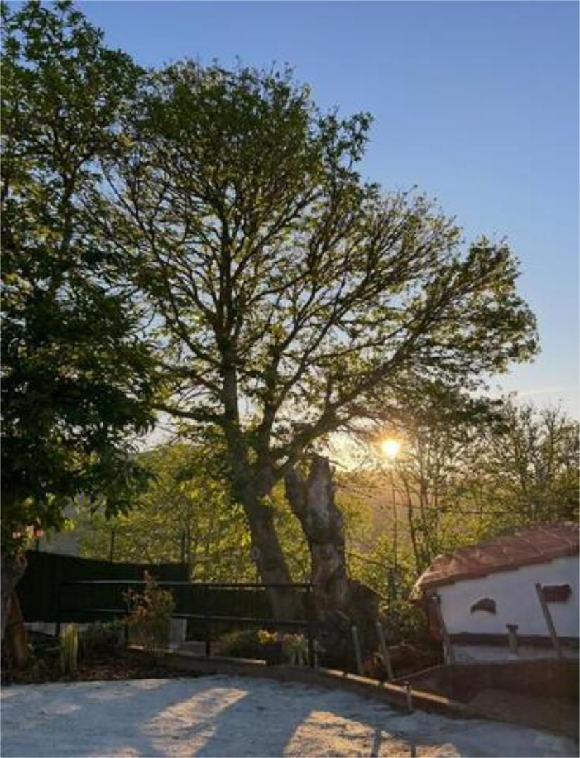 House or chalet for sale in Firgas