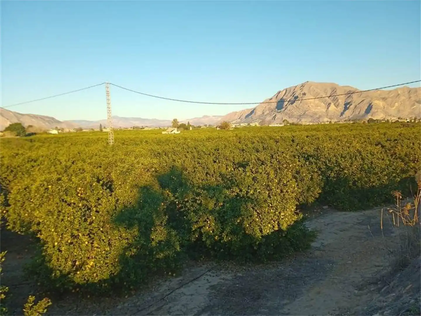 Terreno en venta en Vereda la Zanja, 52, Molins - Campaneta - San Bartolomé Vista exterior de Terreno en venta en Orihuela