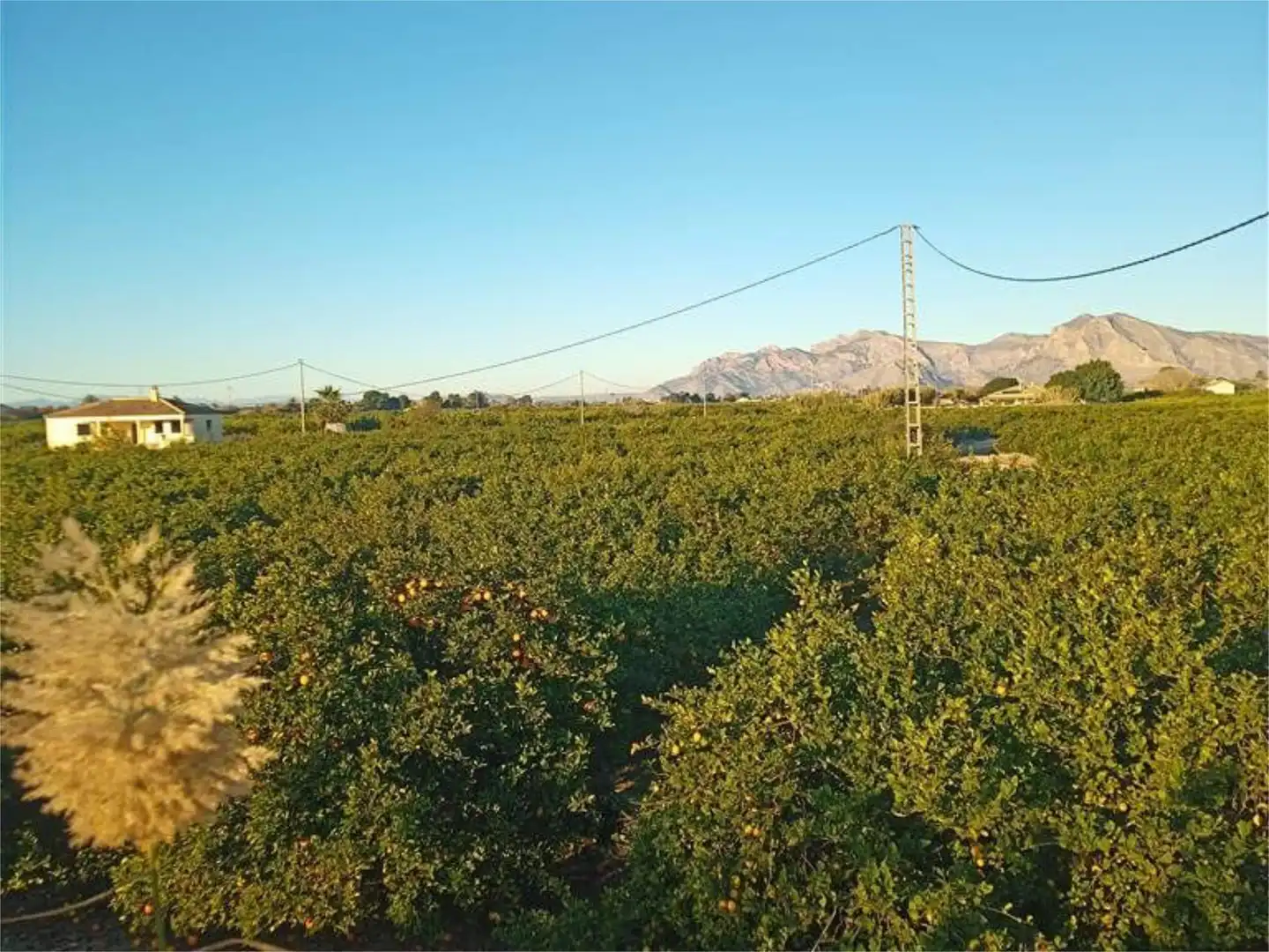 Terreno en venta en Vereda la Zanja, 52, Molins - Campaneta - San Bartolomé Terreno en venta en Orihuela