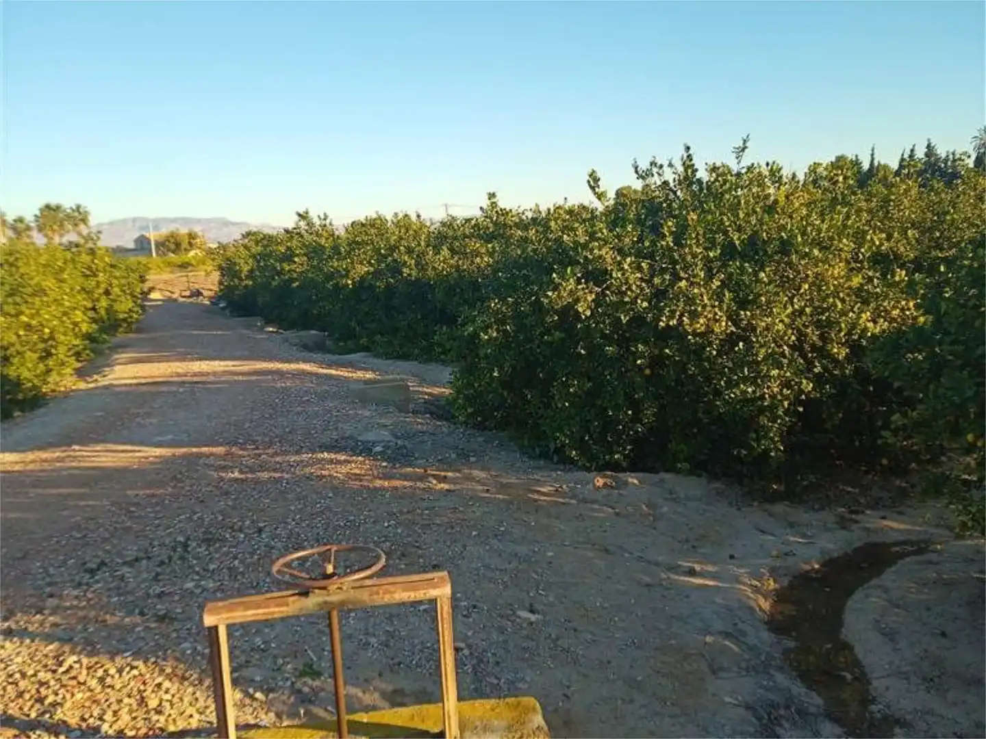 Terreno en venta en Vereda la Zanja, 52, Molins - Campaneta - San Bartolomé Vista exterior de Terreno en venta en Orihuela