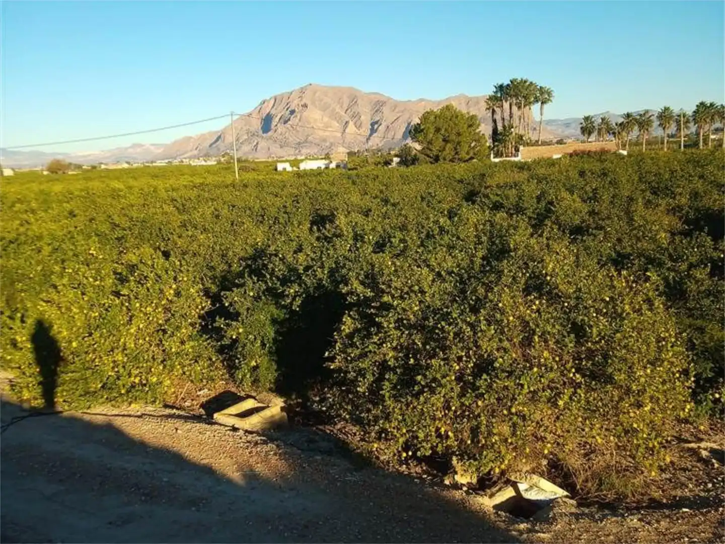 Terreno en venta en Vereda la Zanja, 52, Molins - Campaneta - San Bartolomé Vista exterior de Terreno en venta en Orihuela