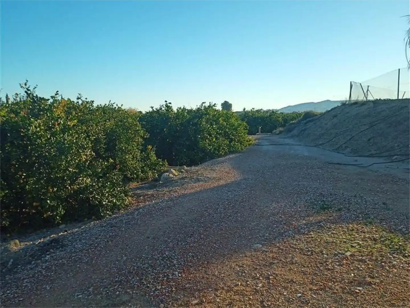 Terreno en venta en Vereda la Zanja, 52, Molins - Campaneta - San Bartolomé Vista exterior de Terreno en venta en Orihuela