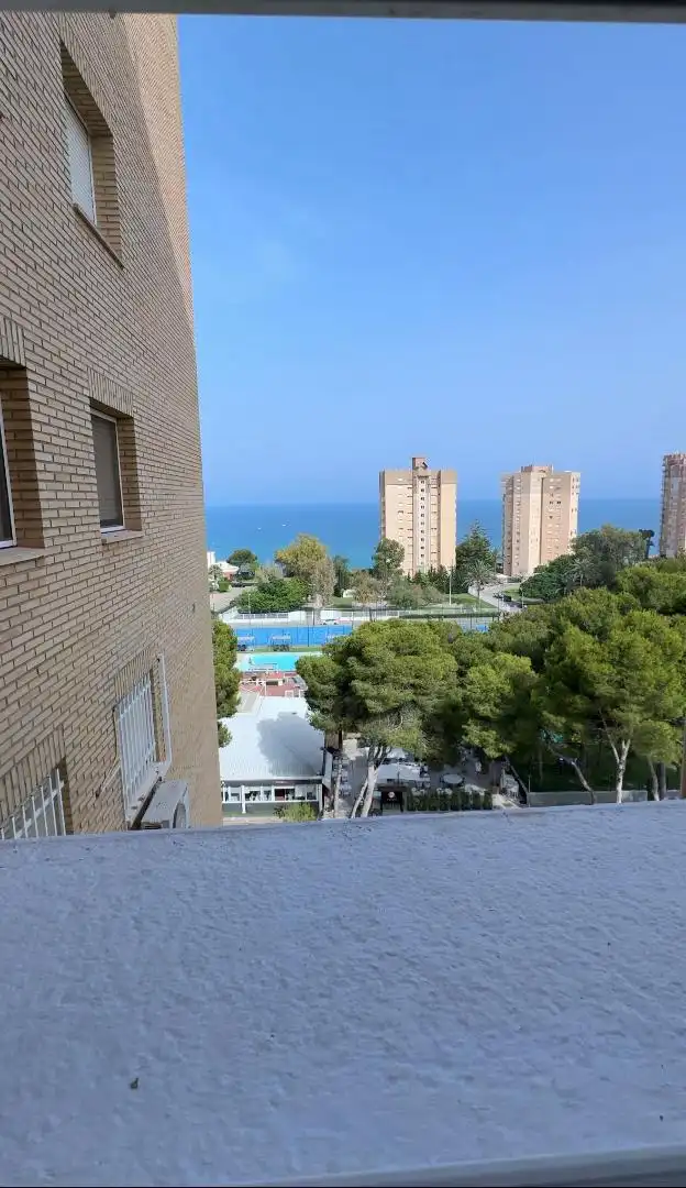 Flat for rent in Calle Gustavo A. Becquer, 1, Campoamor Flat for rent in Calle Gustavo A. Becquer, 1, Campoamor