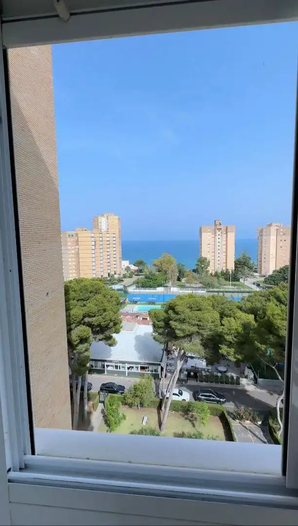 Flat for rent in Calle Gustavo A. Becquer, 1, Campoamor Flat for rent in Calle Gustavo A. Becquer, 1, Campoamor
