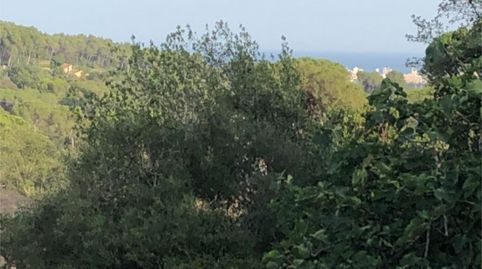 Urbanizable en venta en Carrer Hort Vell, 17, Mas Pere - Río de Oro, Calonge i Sant Antoni - imagen 4 Foto 4 de Urbanizable en venta en Carrer Hort Vell, 17, Mas Pere - Río de Oro, Calonge i Sant Antoni