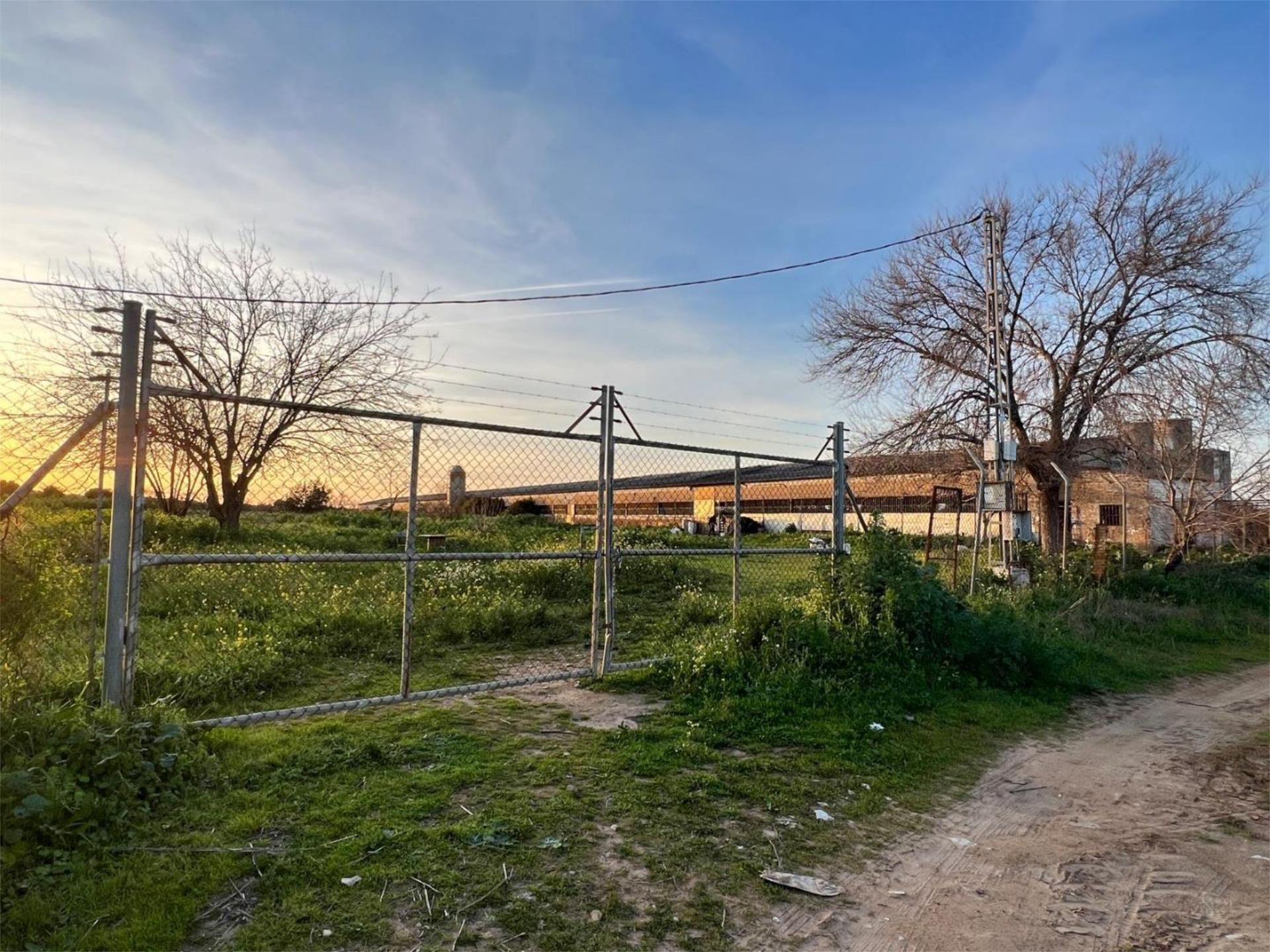Non-constructible Land for sale in Benacazón