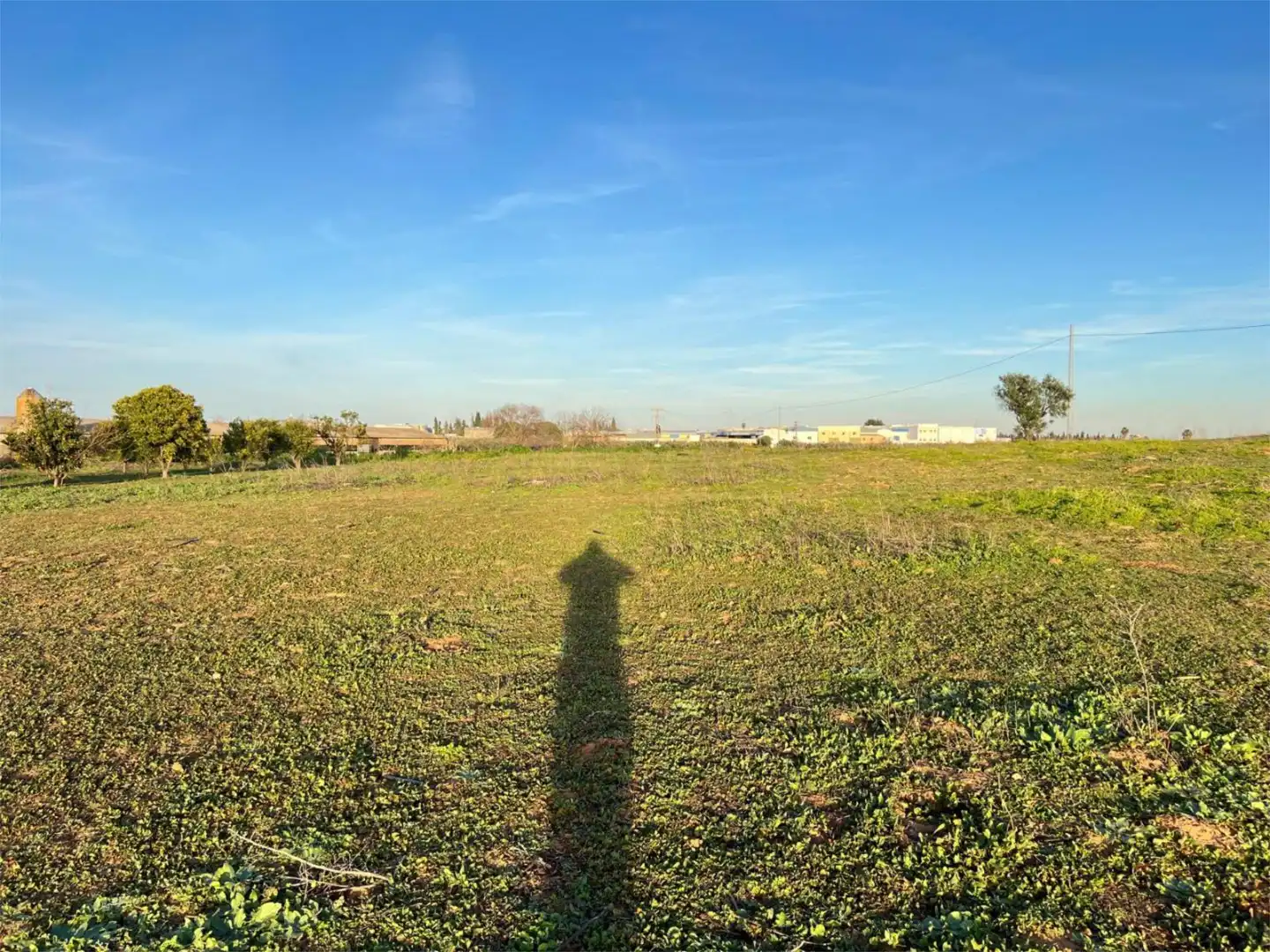 Non-constructible Land for sale in A-473, 8, Benacazón Non-constructible Land for sale in Benacazón