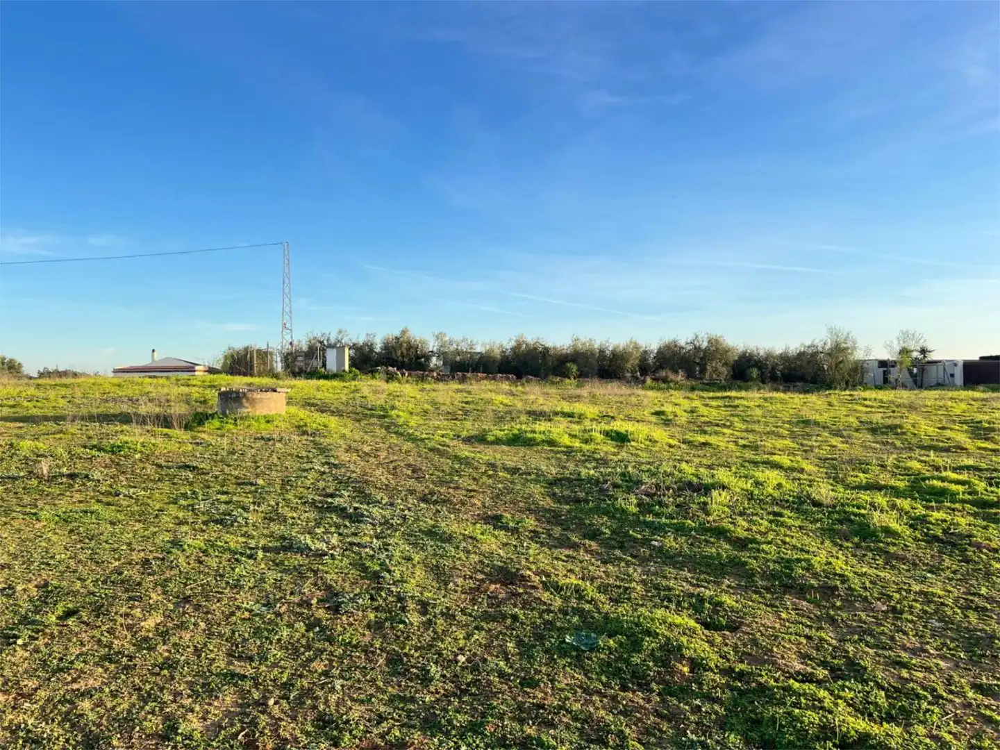 Non-constructible Land for sale in A-473, 8, Benacazón Non-constructible Land for sale in Benacazón
