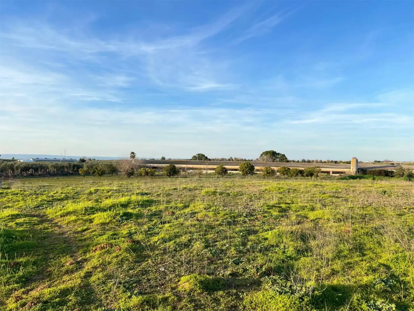 Non-constructible Land for sale in A-473, 8, Benacazón Non-constructible Land for sale in Benacazón