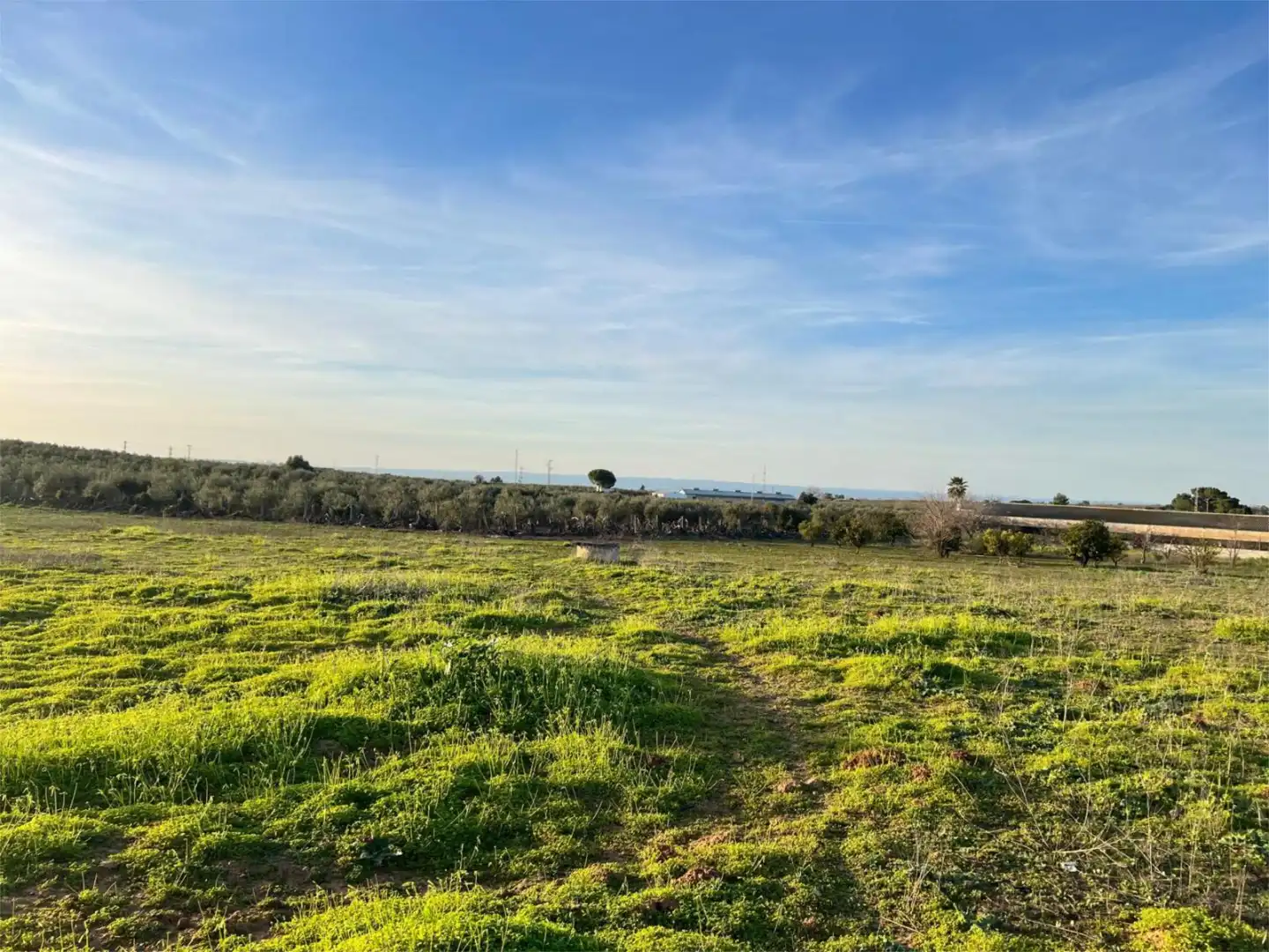 Non-constructible Land for sale in A-473, 8, Benacazón Non-constructible Land for sale in Benacazón