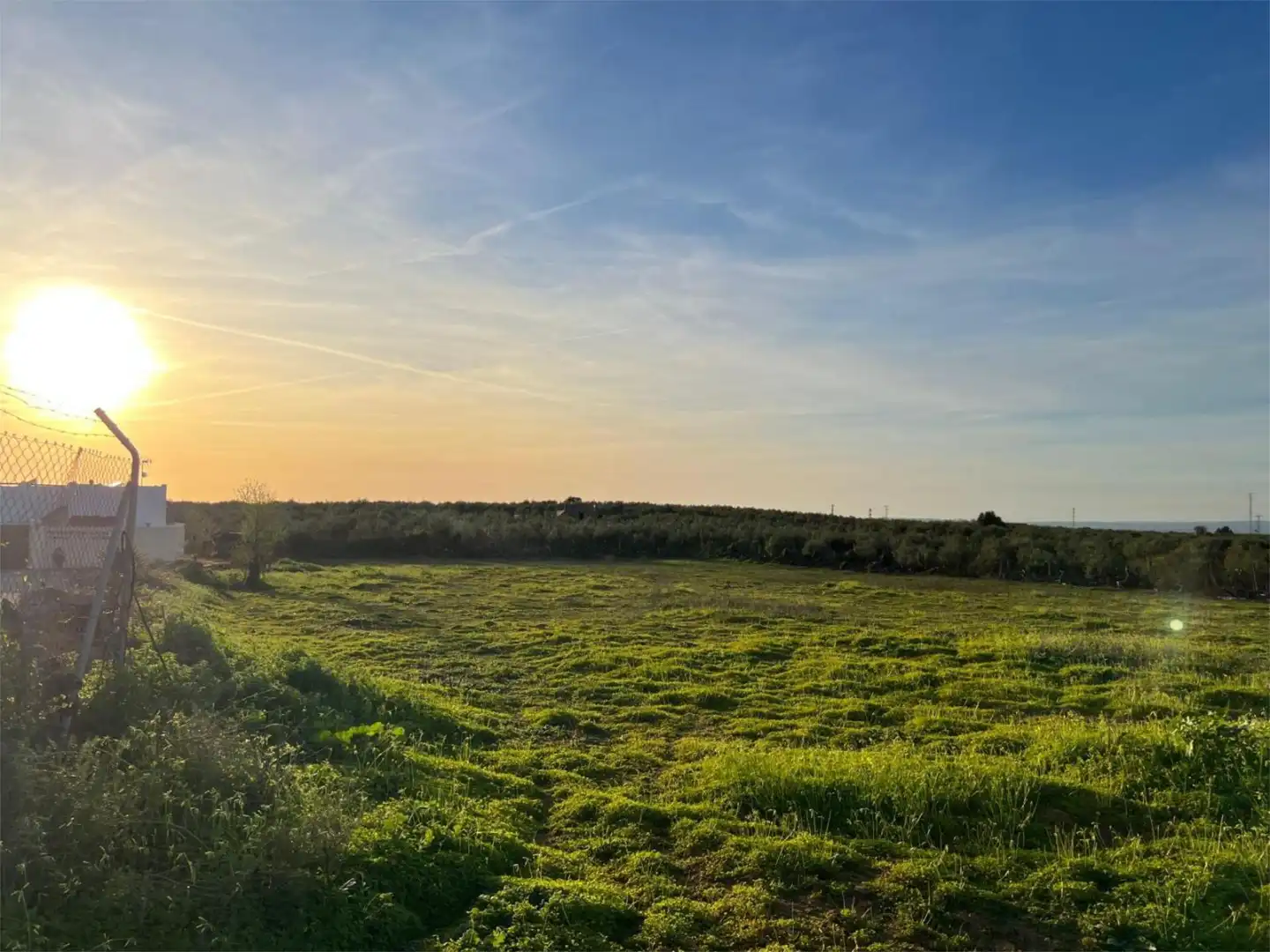 Non-constructible Land for sale in A-473, 8, Benacazón Non-constructible Land for sale in Benacazón